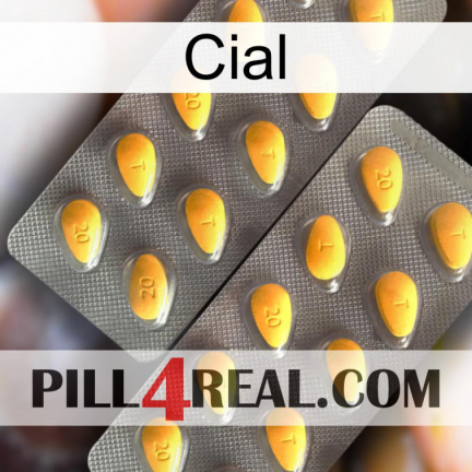 Cial cialis2